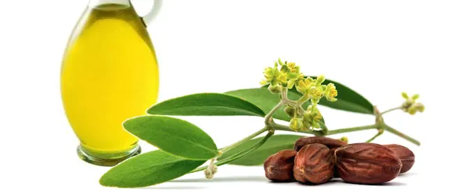 huile pour barbe jojoba